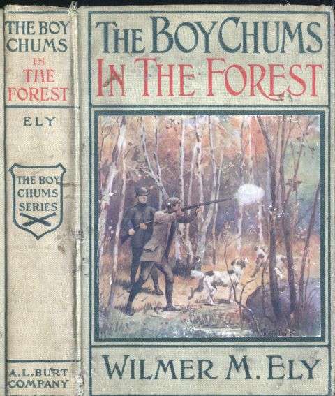 The Boy Chums in the Forest; Or, Hunting for Plume Birds in the Florida Everglades cover