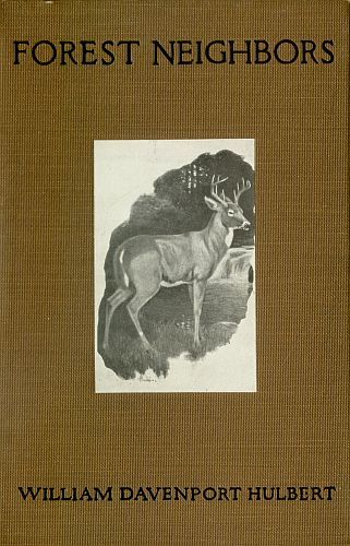 Forest Neighbors: Life Stories of Wild Animals cover