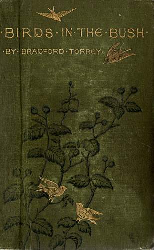 Birds in the Bush cover