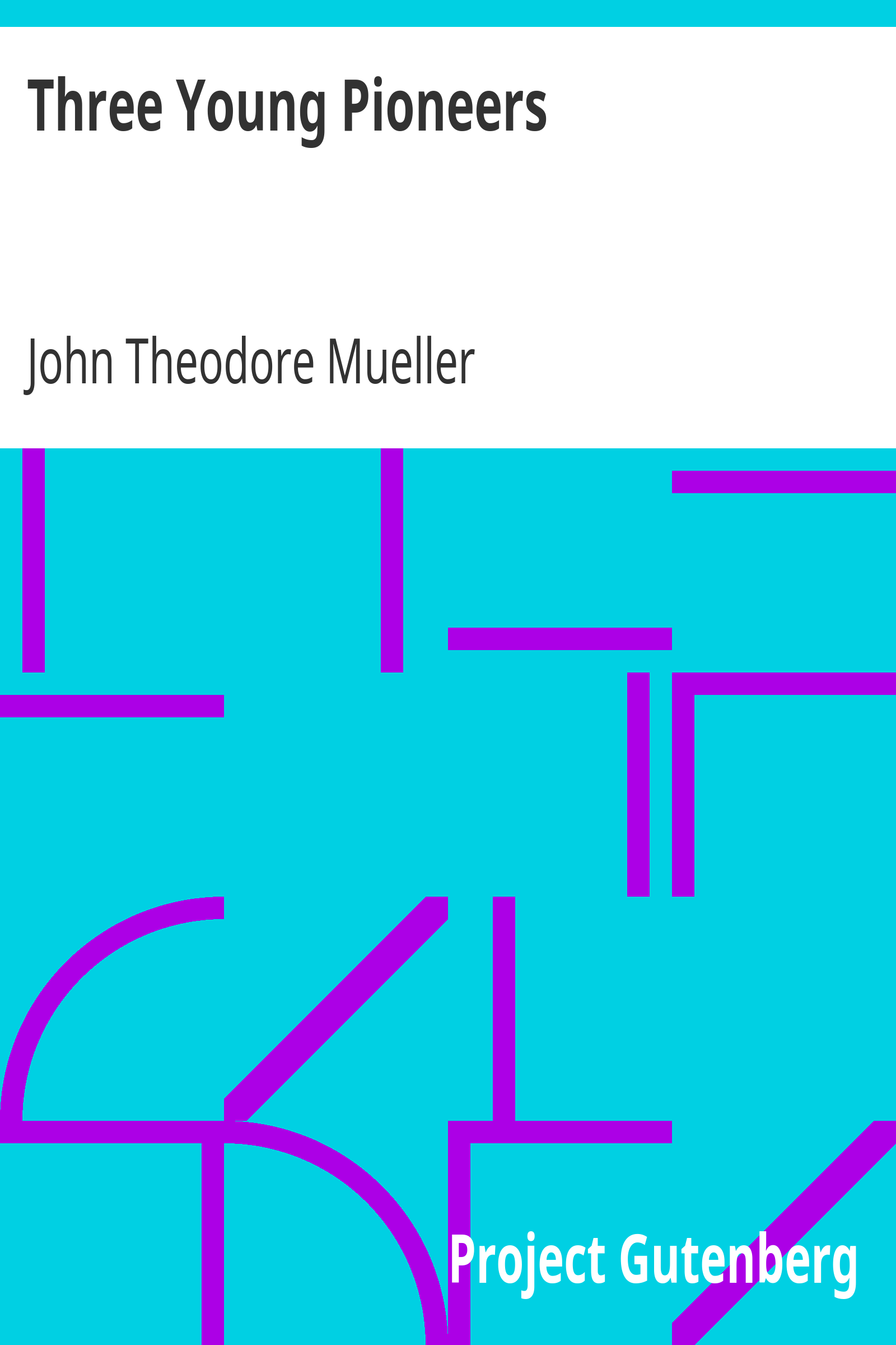 Three Young Pioneers / A Story of the Early Settlement of Our Country cover