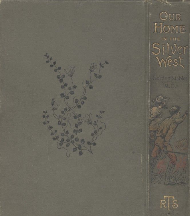Our Home in the Silver West: A Story of Struggle and Adventure cover