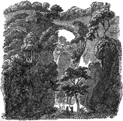 Travels in North America, From Modern Writers / With Remarks and Observations; Exhibiting a Connected View of the Geography and Present State of that Quarter of the Globe cover