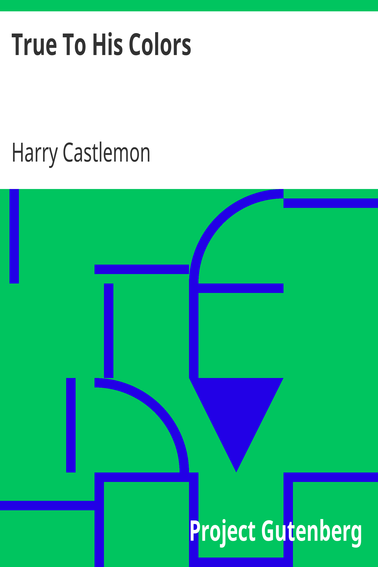 True To His Colors cover