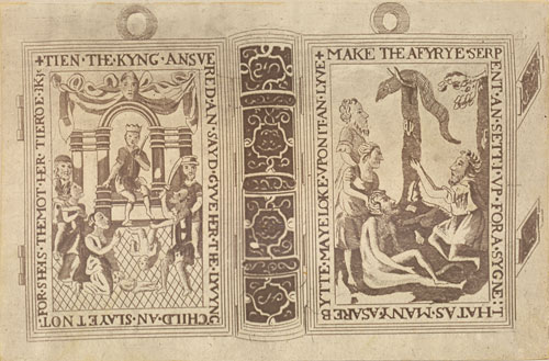 Bibliomania; or Book-Madness / A Bibliographical Romance cover