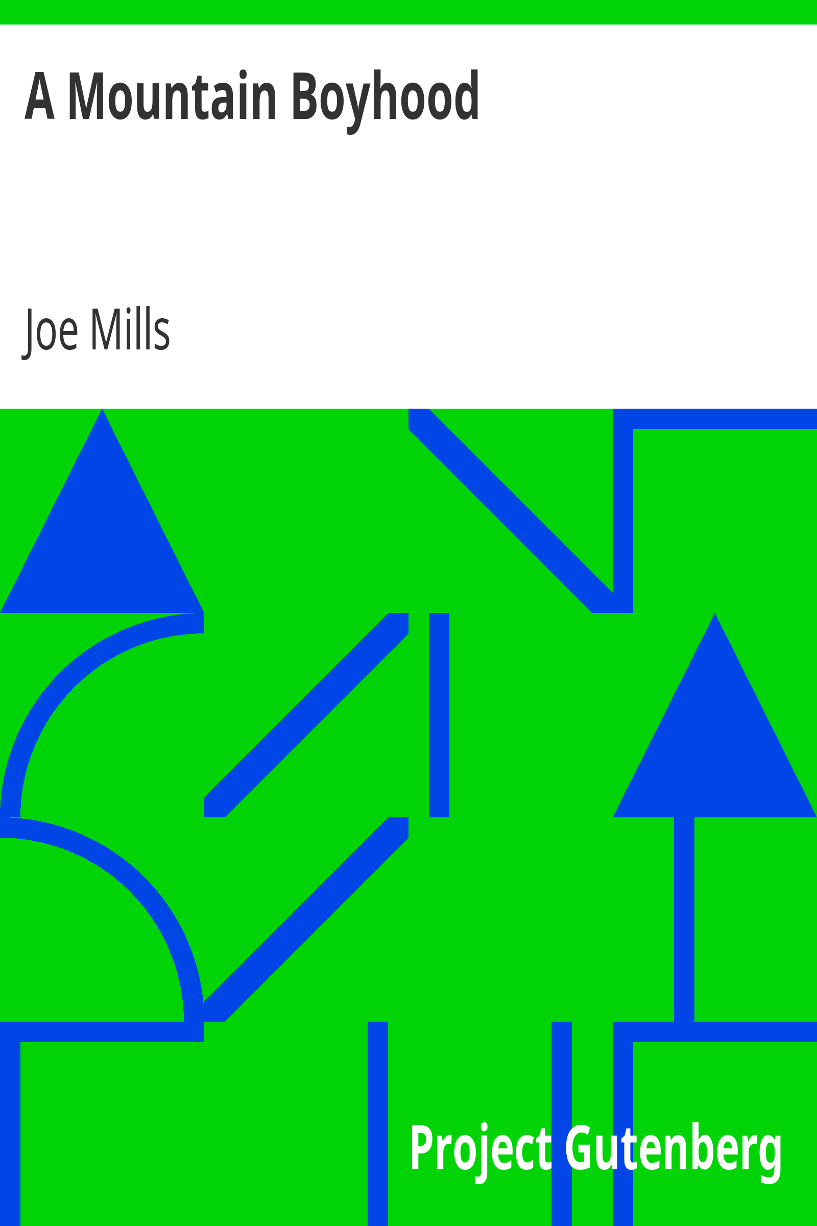 A Mountain Boyhood cover