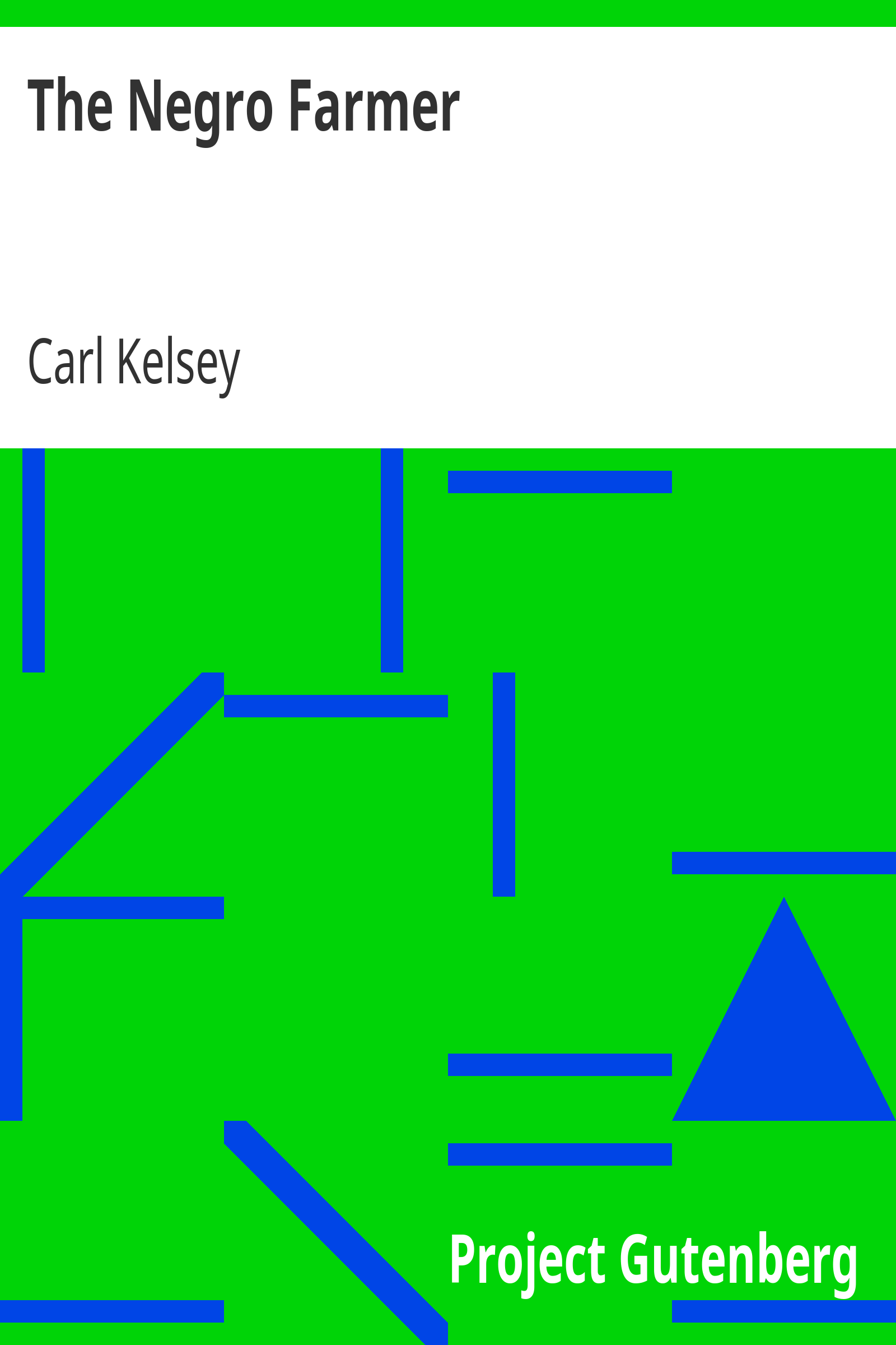 The Negro Farmer cover