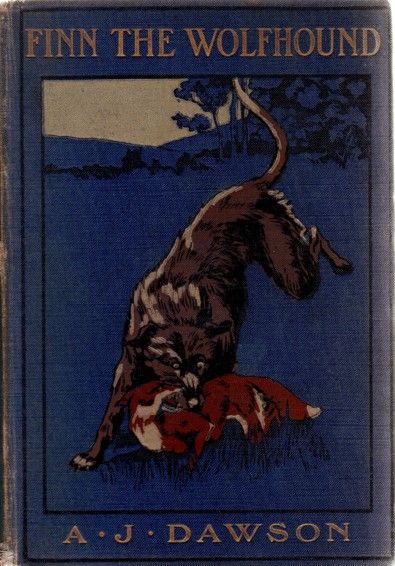Finn the wolfhound cover