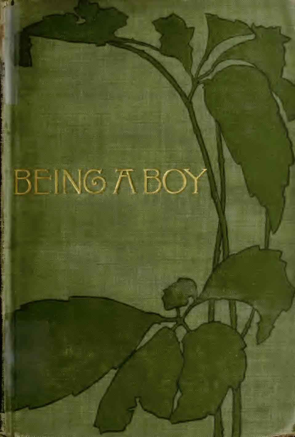 Being a Boy cover