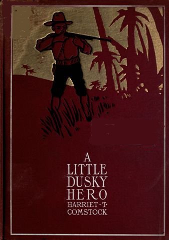A Little Dusky Hero cover