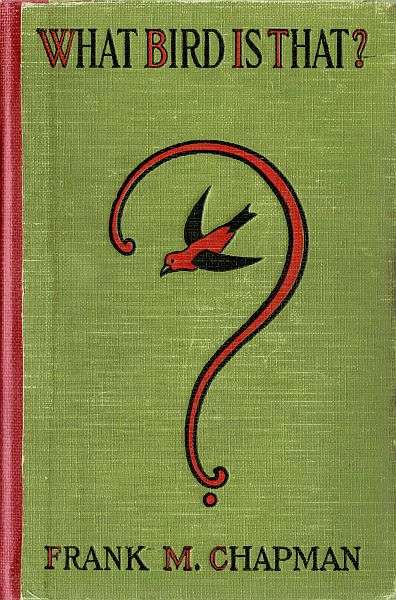 What bird is that? cover