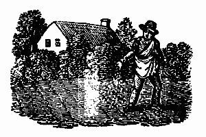 The Planters of Colonial Virginia cover