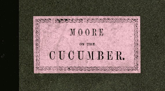 Theory and Practice, Applied to the Cultivation of the Cucumber in the Winter Season / To Which Is Added a Chapter on Melons cover