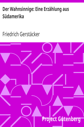 Der Wahnsinnige: Eine Erzählung aus Südamerika cover