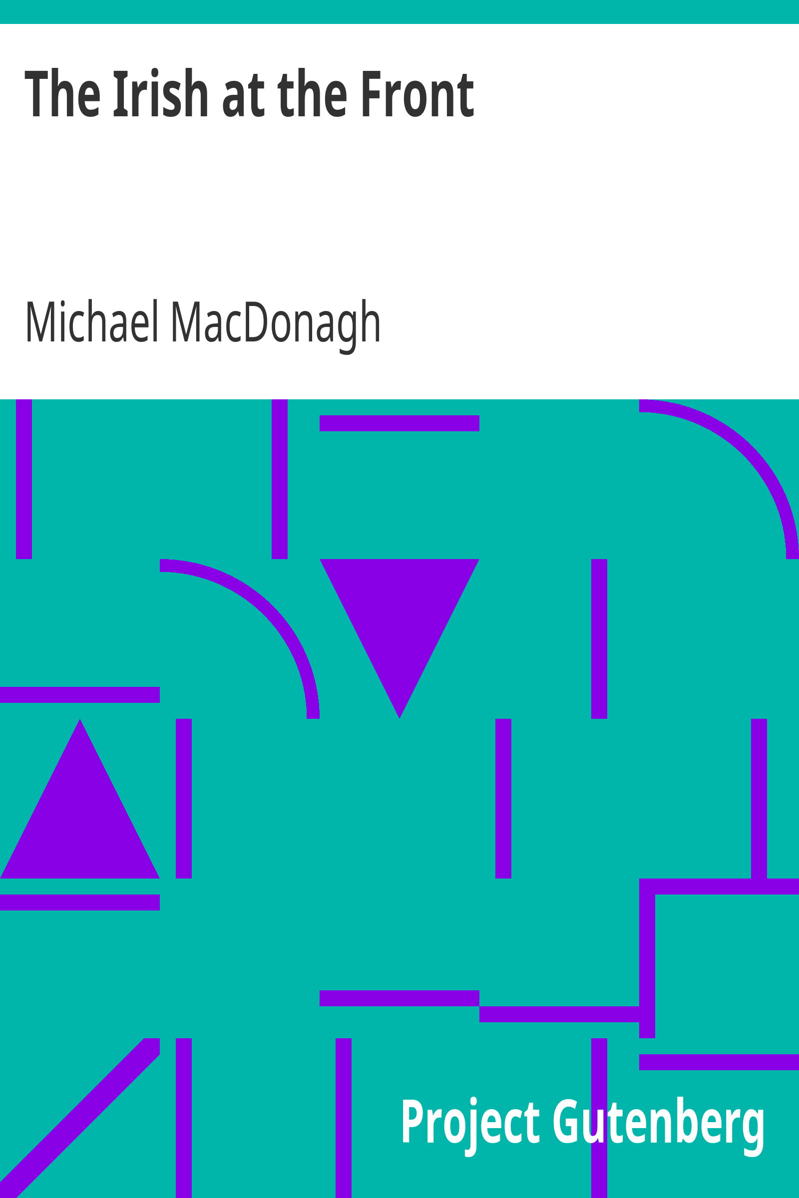 The Irish at the Front cover