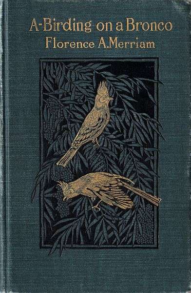 A-Birding on a Bronco cover