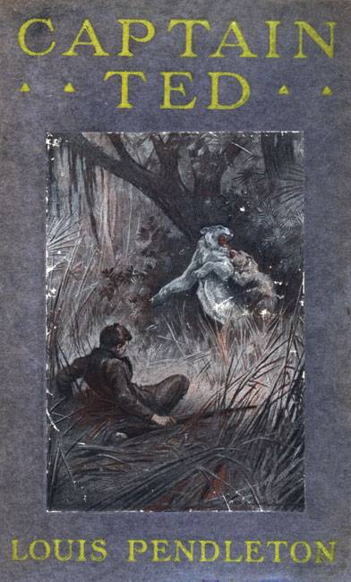 Captain Ted: A Boy's Adventures Among Hiding Slackers in the Great Georgia Swamp cover