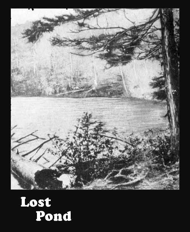 Lost Pond cover