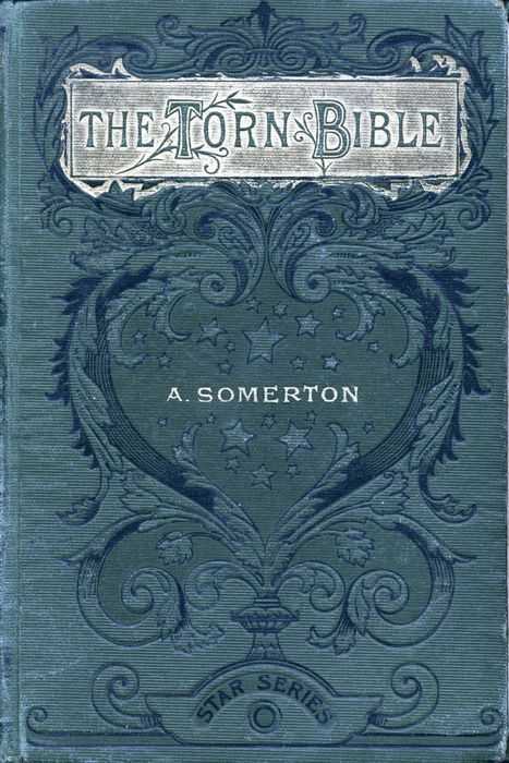The Torn Bible; Or, Hubert's Best Friend cover