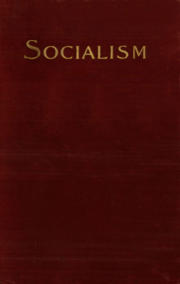 Socialism and the Social Movement in the 19th Century cover