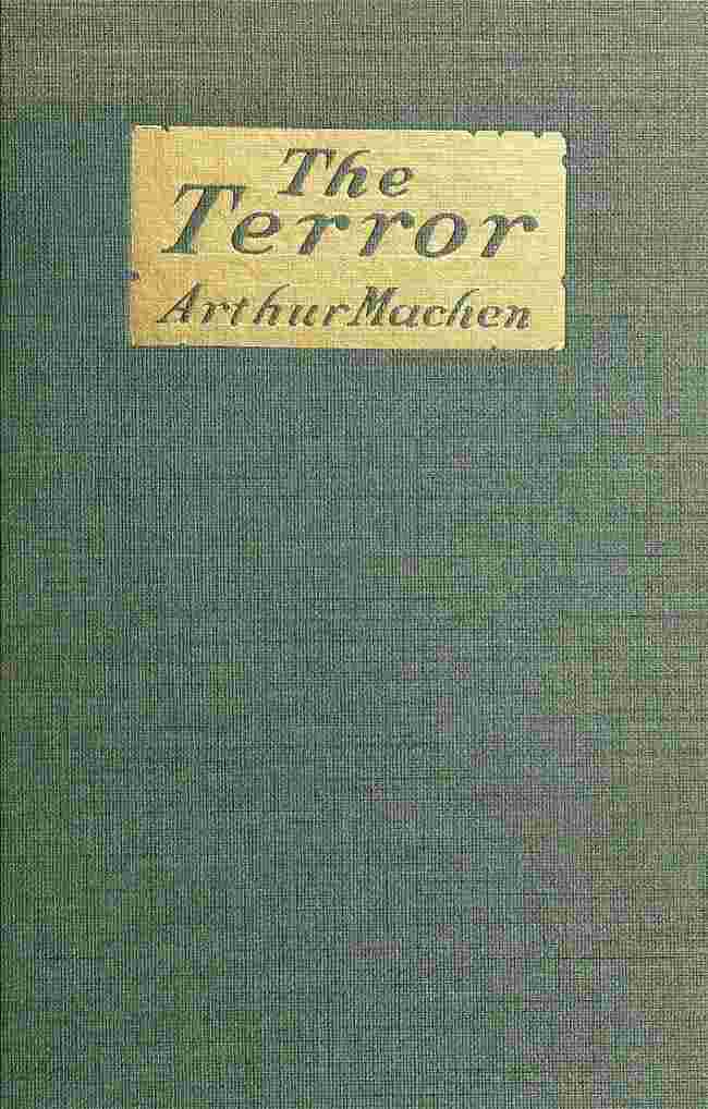 The Terror: A Mystery cover