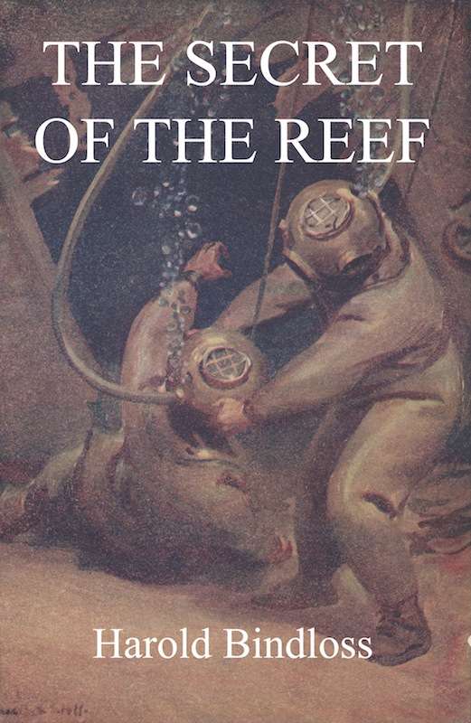 The Secret of the Reef cover