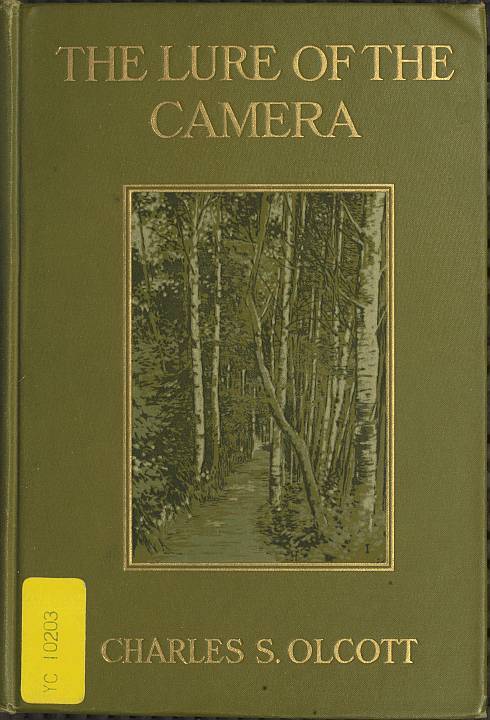 The Lure of the Camera cover