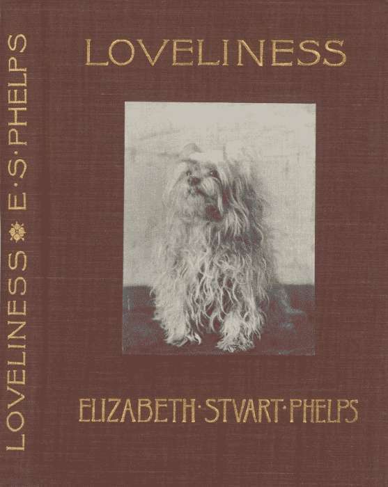 Loveliness: A Story cover