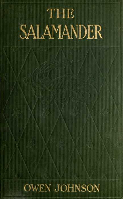 The Salamander cover