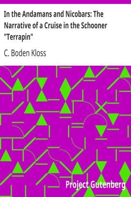 In the Andamans and Nicobars: The Narrative of a Cruise in the Schooner "Terrapin" cover