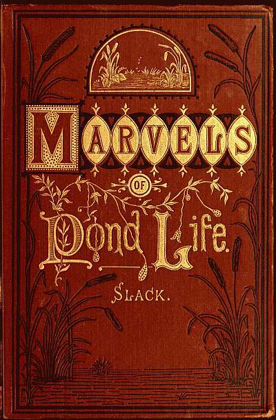 Marvels of Pond-life / Or, A Year's Microscopic Recreations Among the Polyps, Infusoria, Rotifers, Water-bears and Polyzoa cover