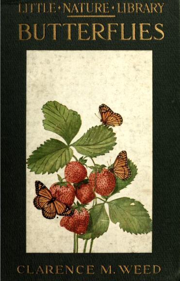 Butterflies Worth Knowing cover