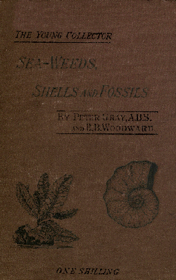 Sea-Weeds, Shells and Fossils cover