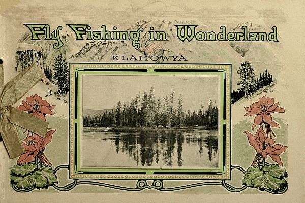 Fly Fishing in Wonderland cover