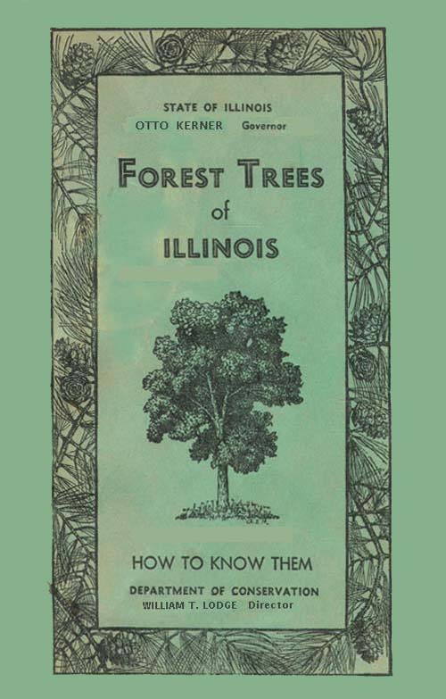 Forest Trees of Illinois: How to Know Them cover