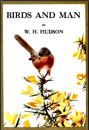 Birds and Man cover