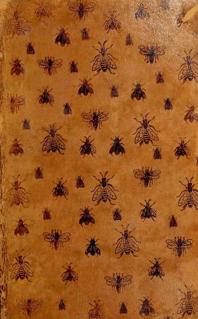 La vie des abeilles cover