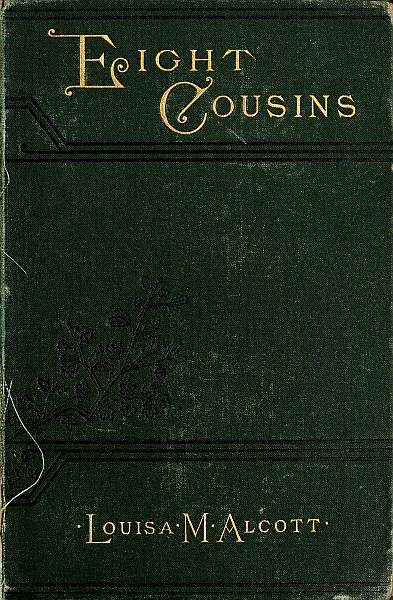 Eight Cousins; Or, The Aunt-Hill cover