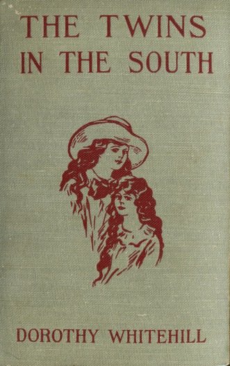 The twins in the South cover