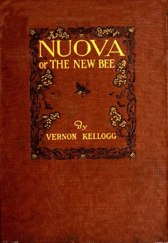 Nuova; or, The New Bee cover