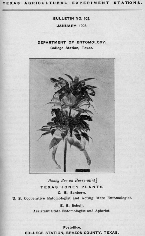 Texas Honey Plants cover