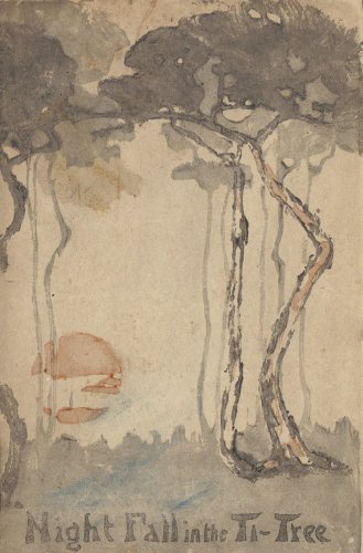Night Fall in the Ti-Tree cover