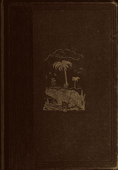 The World Before the Deluge cover