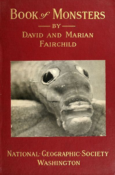 Book of monsters cover