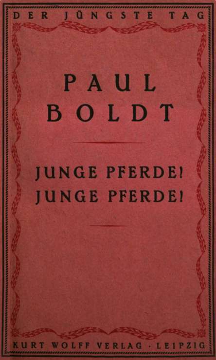 Junge Pferde! Junge Pferde! cover