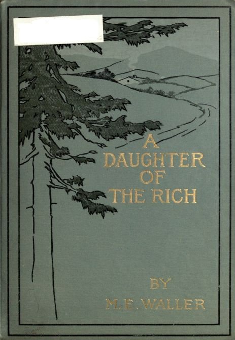 A Daughter of the Rich cover