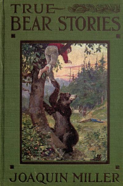 True Bear Stories cover