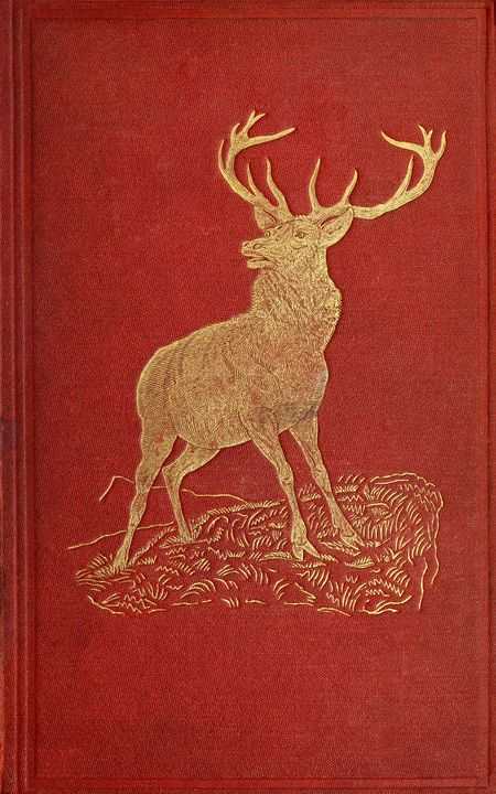 Katerfelto: A Story of Exmoor cover