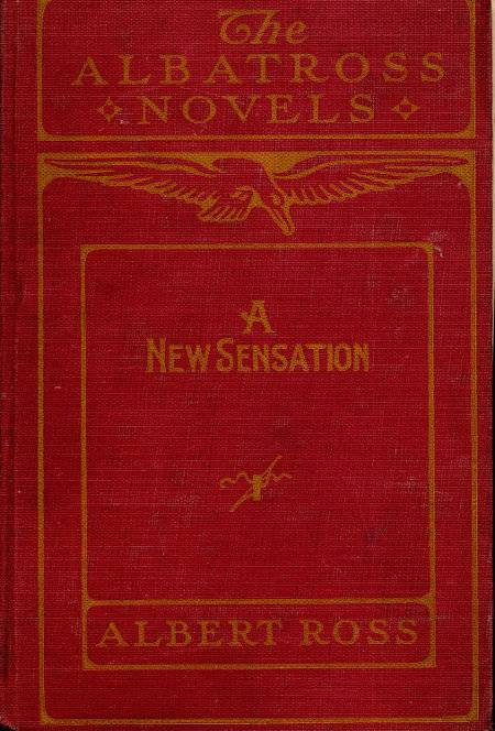 A New Sensation cover