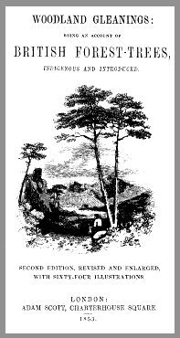 Woodland Gleanings: Being an Account of British Forest-Trees cover