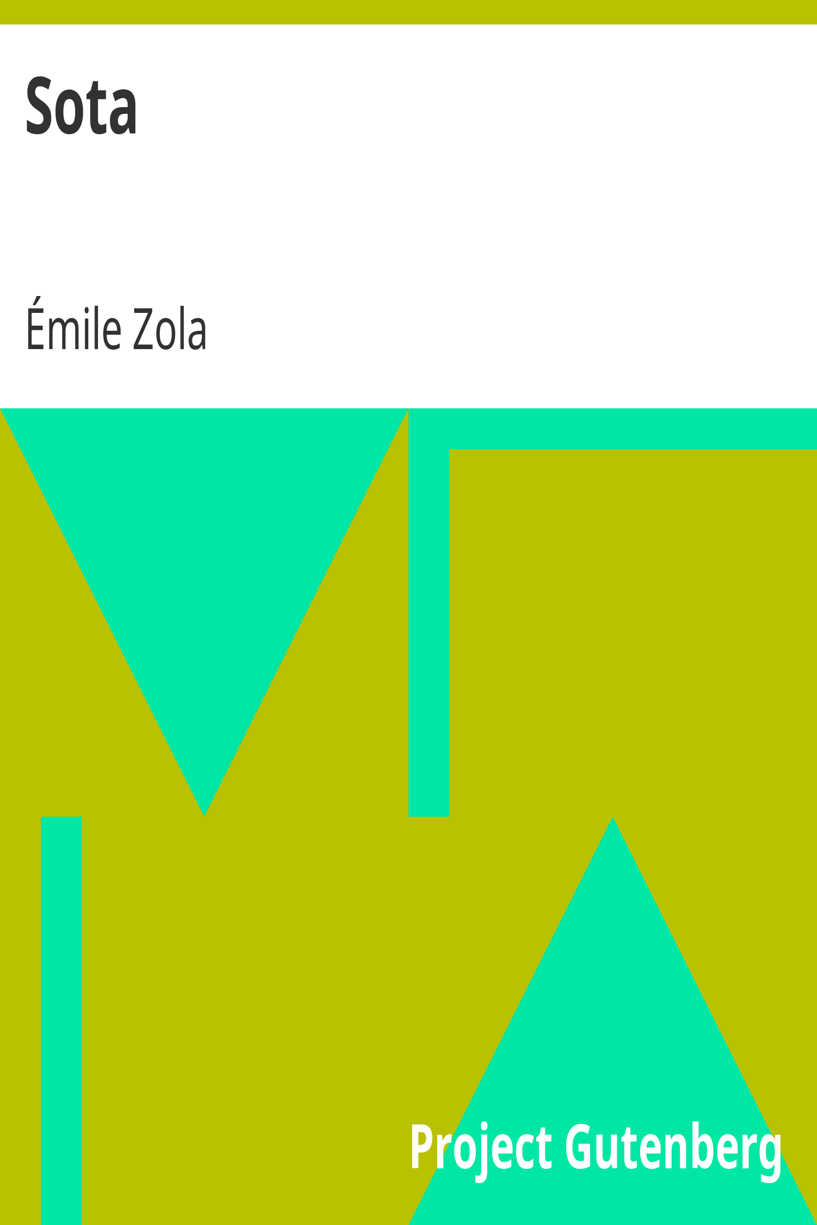 Sota cover